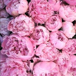 Meet your Posher, Maryellen